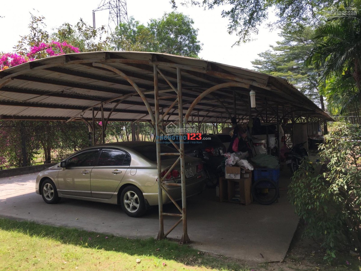 Cho Thuê Nhanh Căn Hộ Tân Tạo Plaza 3, Trần Đại Nghĩa, Bình Chánh