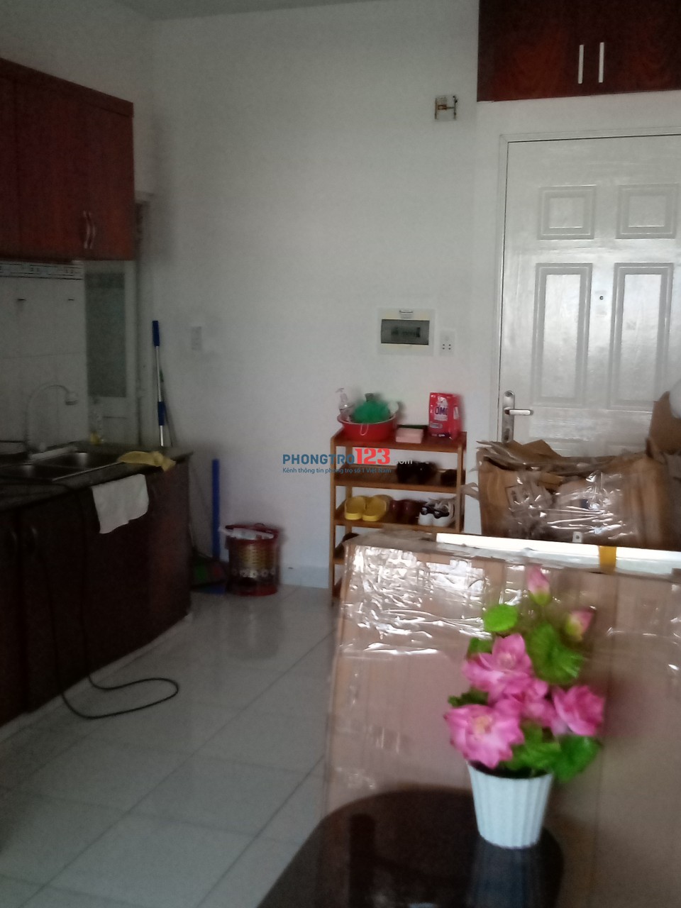 Tìm người ở ghép căn hộ chung cư Lê Thành, quận Bình Tân