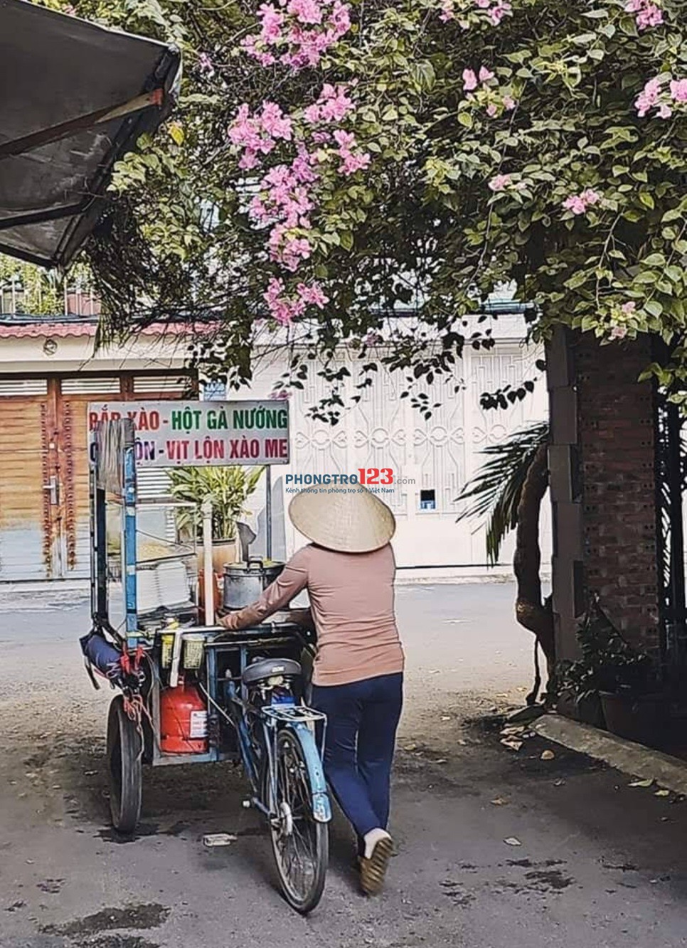 Nhà nguyên căn, cho thuê, chính chủ, không môi giới, Nguyễn Văn Thương, Bình Thạnh