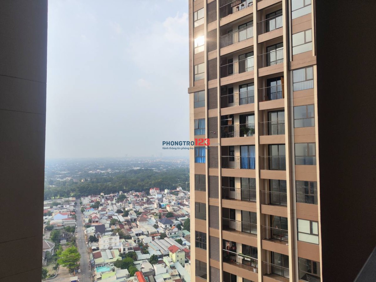 Cho thuê căn hộ 1PN 40m2 ở chung cư Opal Skyline, Thuận An Bình Dương