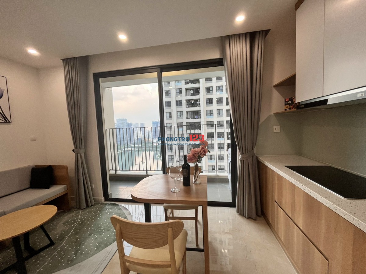 Chính chủ cho thuê quỹ căn hộ Studio - 1N - 2N - 3N Vinhomes D'capitale vào ở luôn. LH: 0385418696