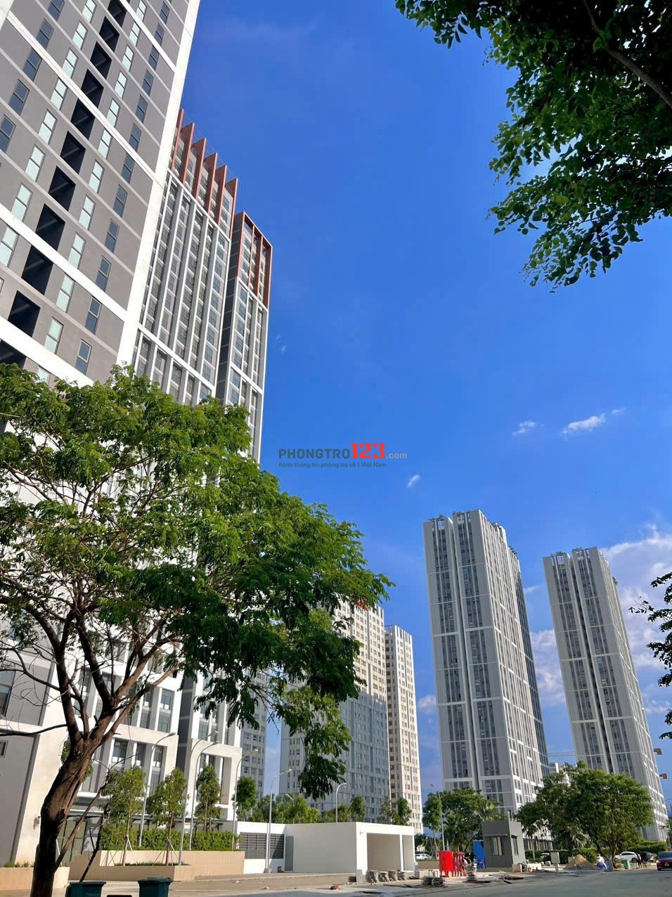 Cho thuê căn hộ duplex tầng 24 view landmark81, tháp bút, căn góc