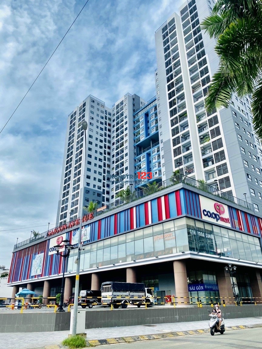 Phòng trọ , Chung cư , Sài Gòn Avenue, Thủ Đức , Bình Dương