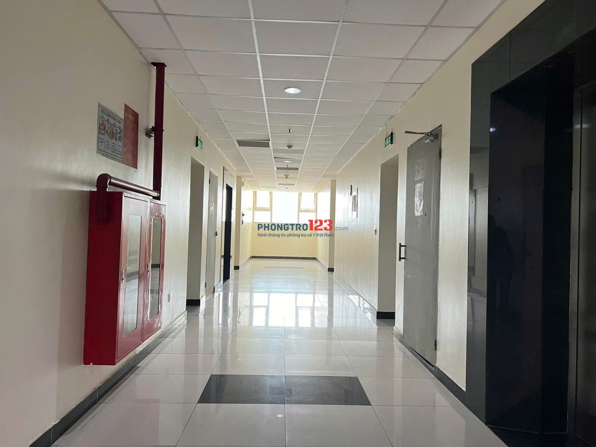 Chung cư Kim Hồng Fortuna, Đ. Vườn Lài - Diện tích 90m2, thiết kế 2PN + 2WC, Phong Bếp + Phòng khách