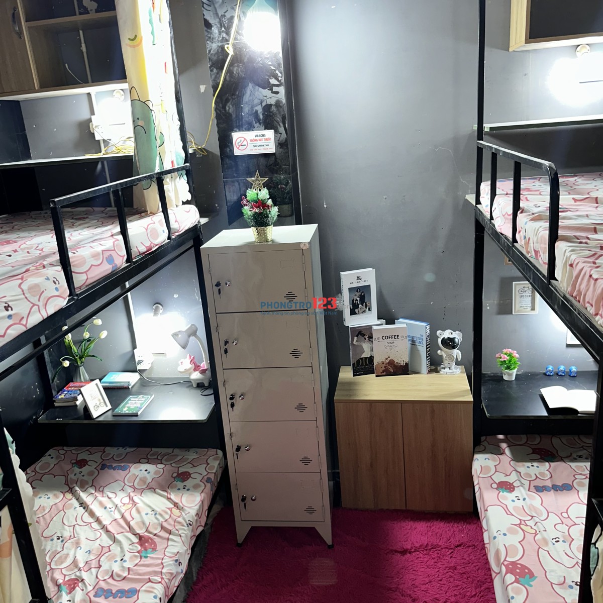 Kyý túc xá Tô Ký Quận 12, Gò Vấp, Tô Ký Home