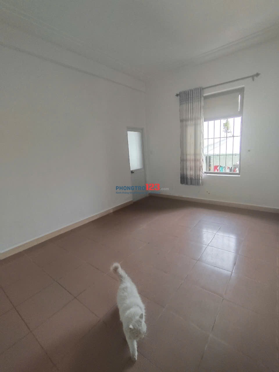 Nhà trọ giá rẻ trung tâm Gò Vấp