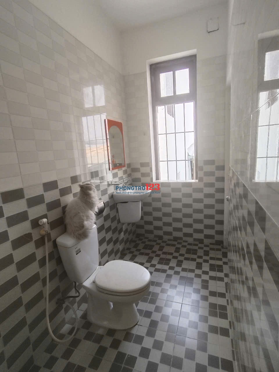 Nhà trọ giá rẻ trung tâm Gò Vấp