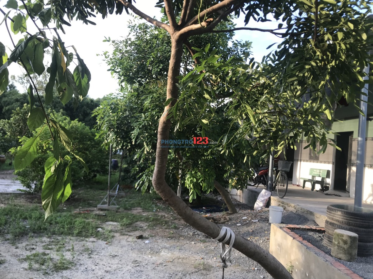 Cho thuê nhà trọ mới xây dựng, rộng thoáng mát