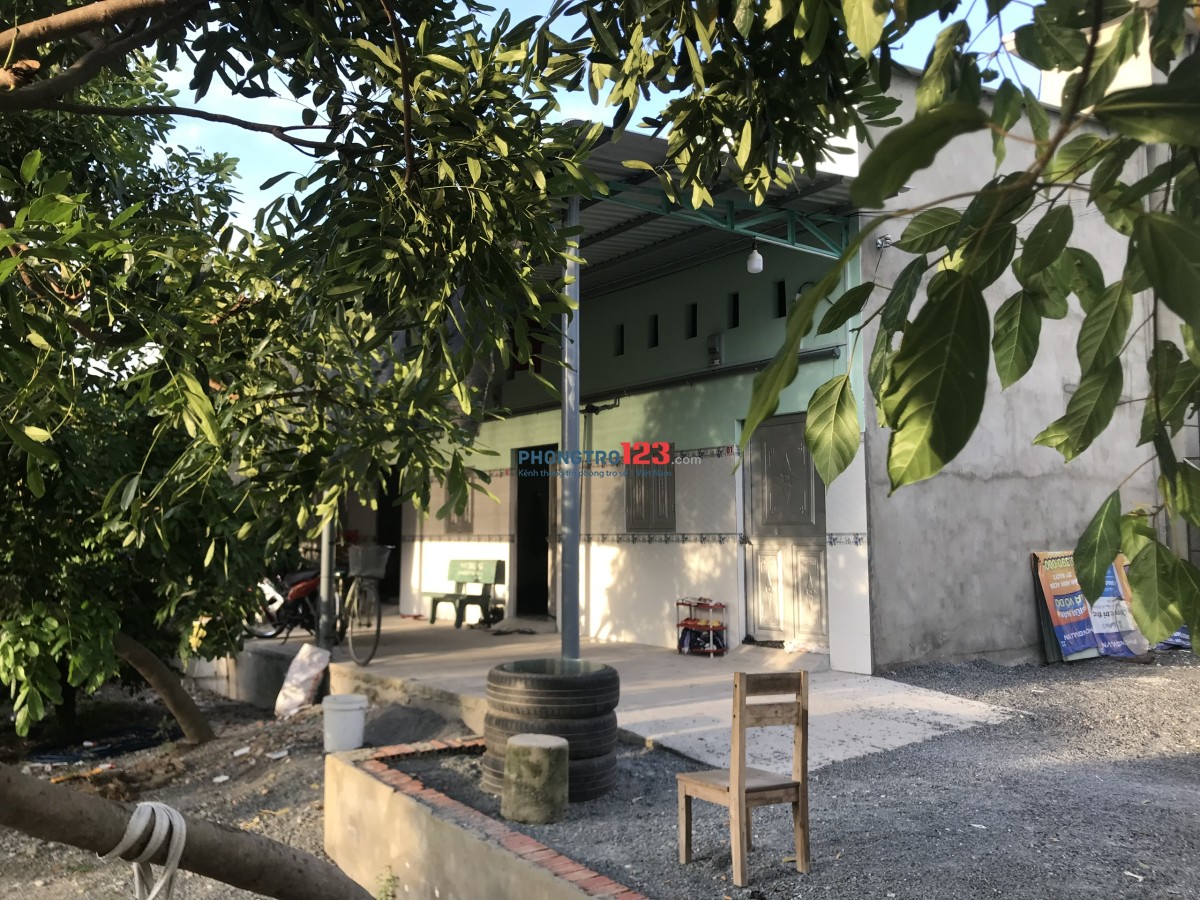 Cho thuê nhà trọ mới xây dựng, rộng thoáng mát