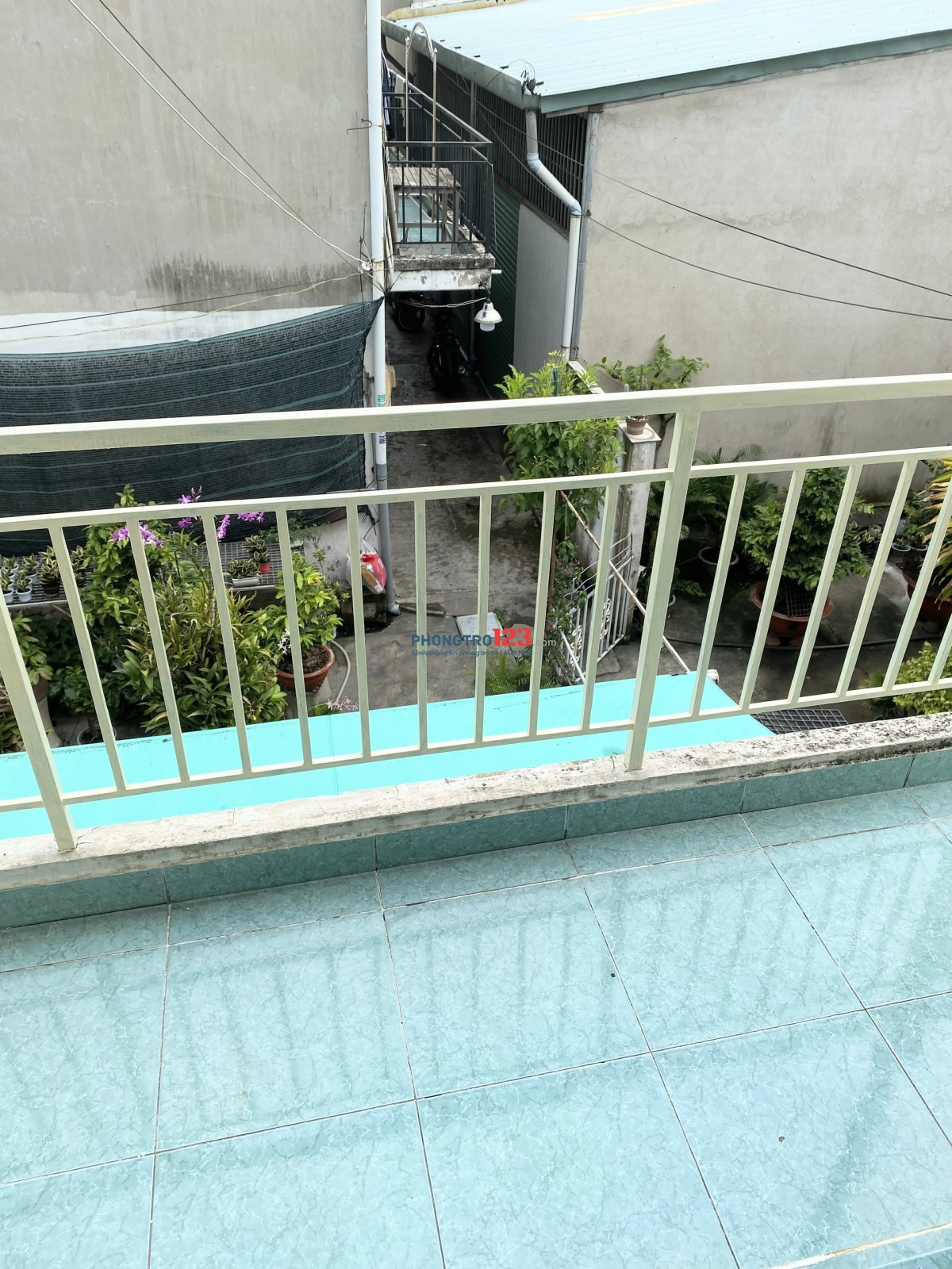 Nhà nguyên căn 60m2 Gò Vấp / Whole house 60m2 Go Vap