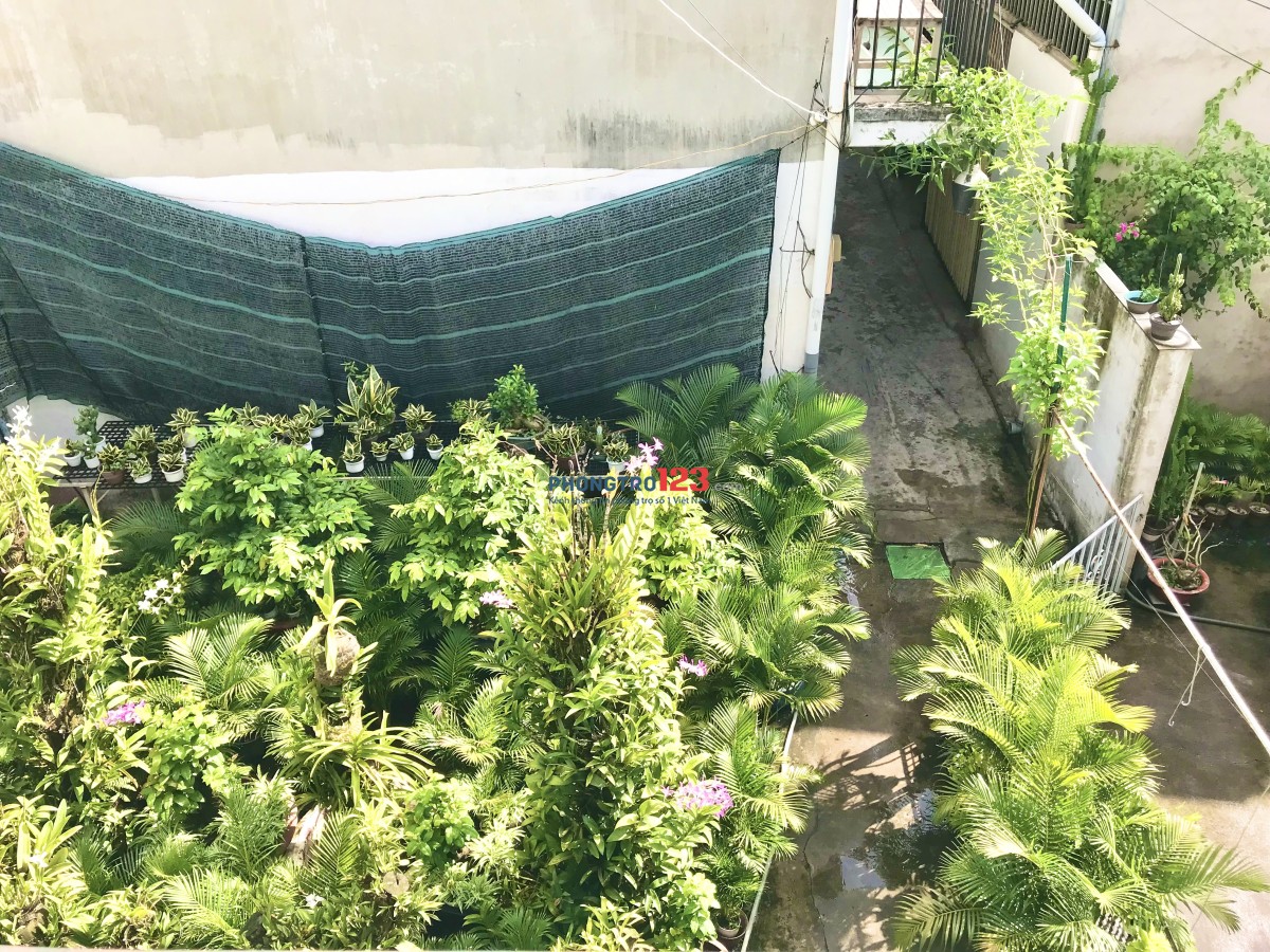 Nhà nguyên căn 60m2 Gò Vấp / Whole house 60m2 Go Vap