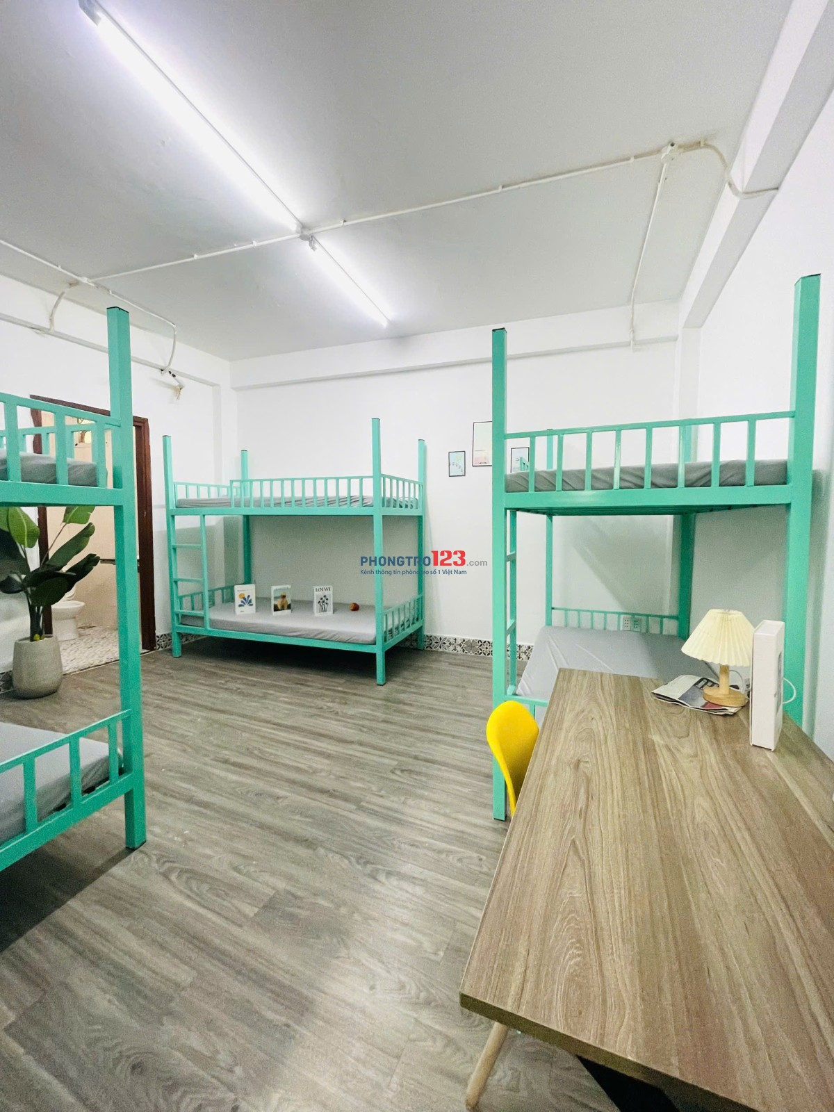 Khai Trương sleep box nam mới tại đầu đường Cộng Hòa Phường 4 Tân Bình