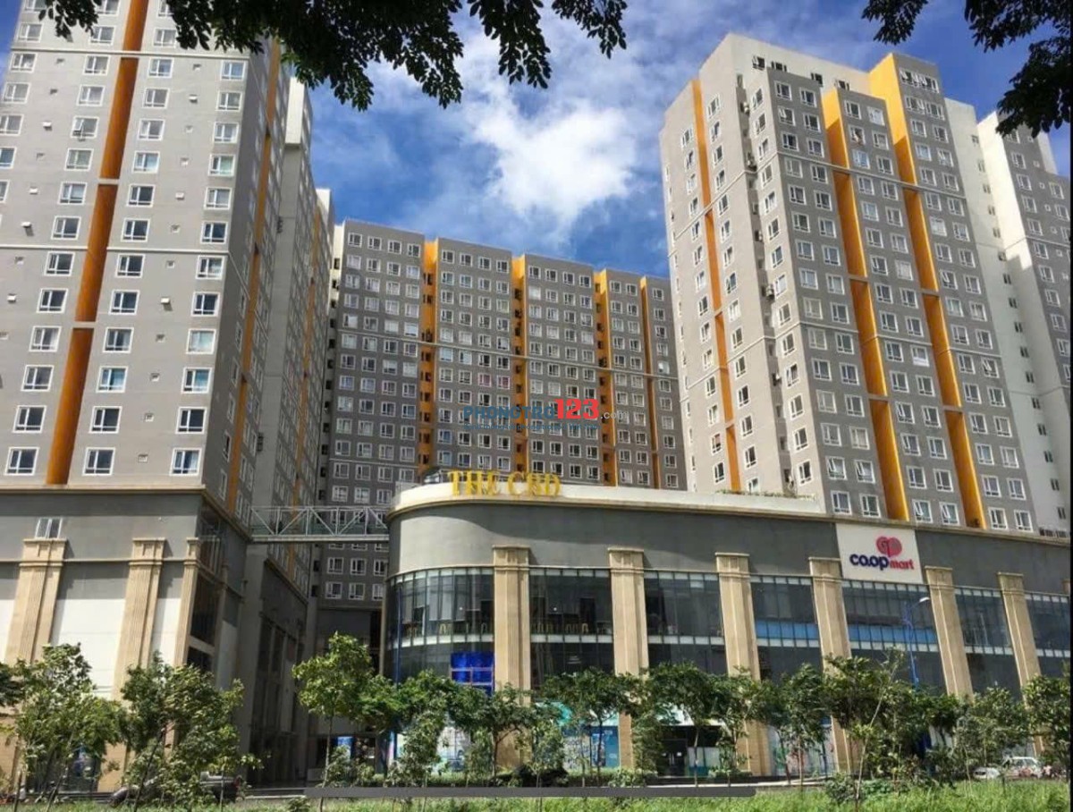 Cho thuê 1 phòng ở ghép chung cư CBD, 125 Đồng Văn Cống, quận 2 ( căn hộ 3PN)