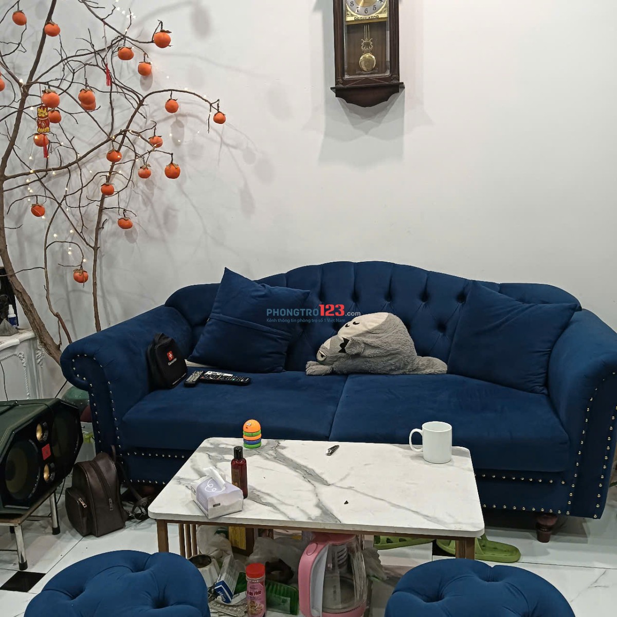 Cho thuê phòng trọ 35m2 giá rẻ phú thượng