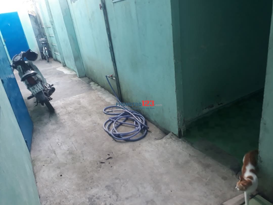 CHO THUÊ PHÒNG TRỌ GẦN NGÃ TƯ TÂN QUY