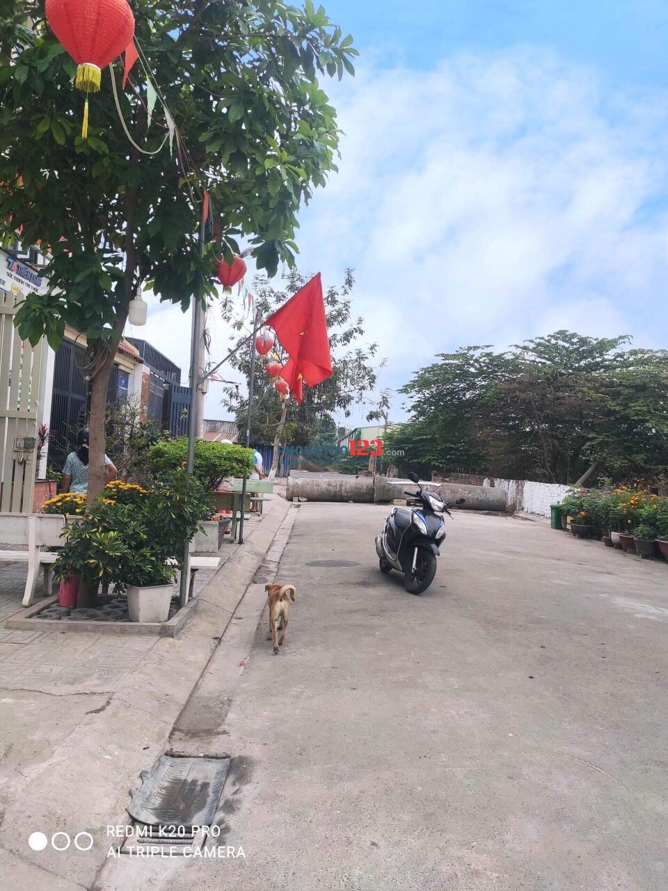 PHÒNG CHO THUÊ, THOÁNG MÁT SẠCH SẼ