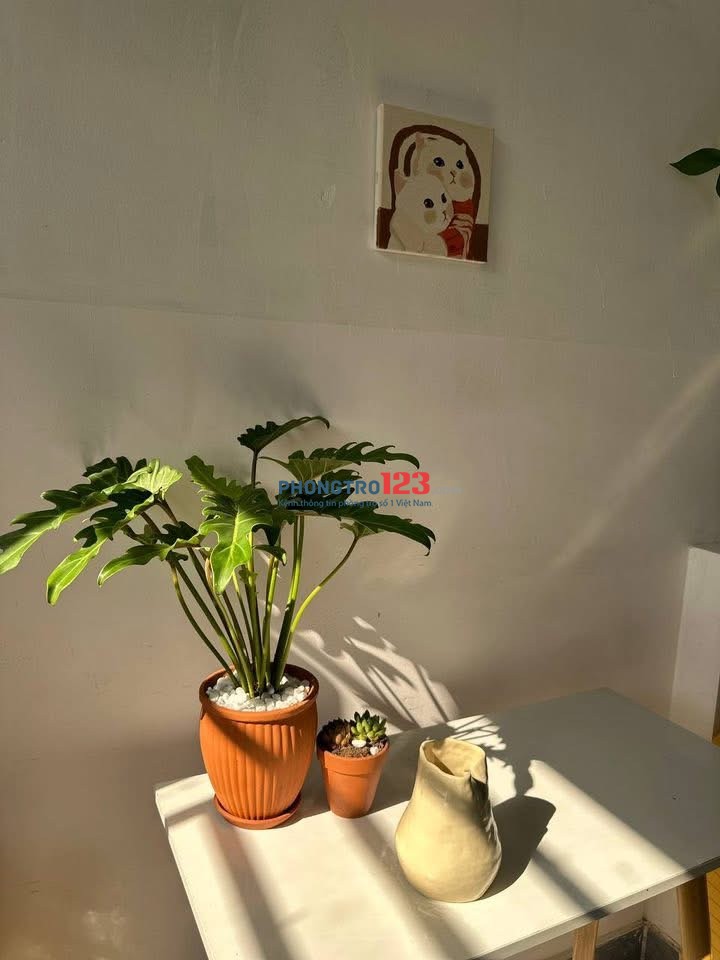 Phòng trọ siêu rộng, có ánh sáng và ban công riêng