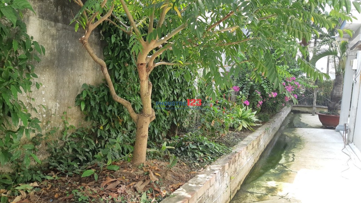Cho thuê nhà nguyên căn có sân vườn tại Hiệp Bình Phước, TĐ