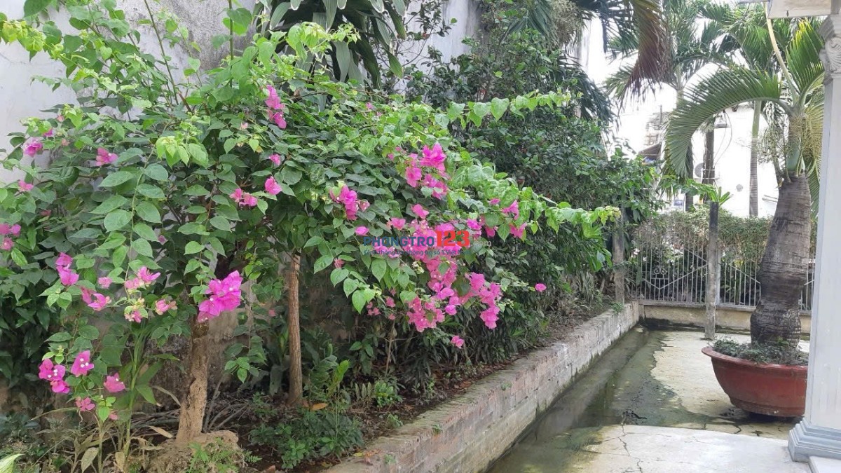 Cho thuê nhà nguyên căn có sân vườn tại Hiệp Bình Phước, TĐ