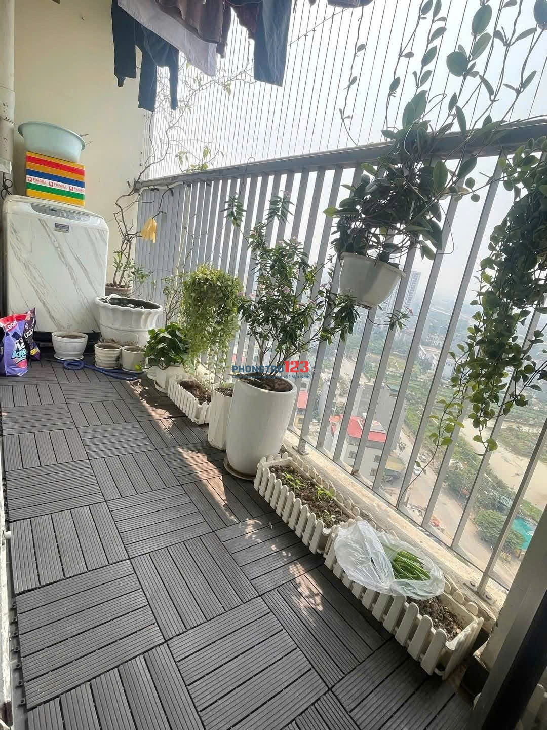 Chung cư Ruby Garden, Nguyễn Sỹ Sách, P15, TB, 87m2, 2PN, 11tr/tháng.