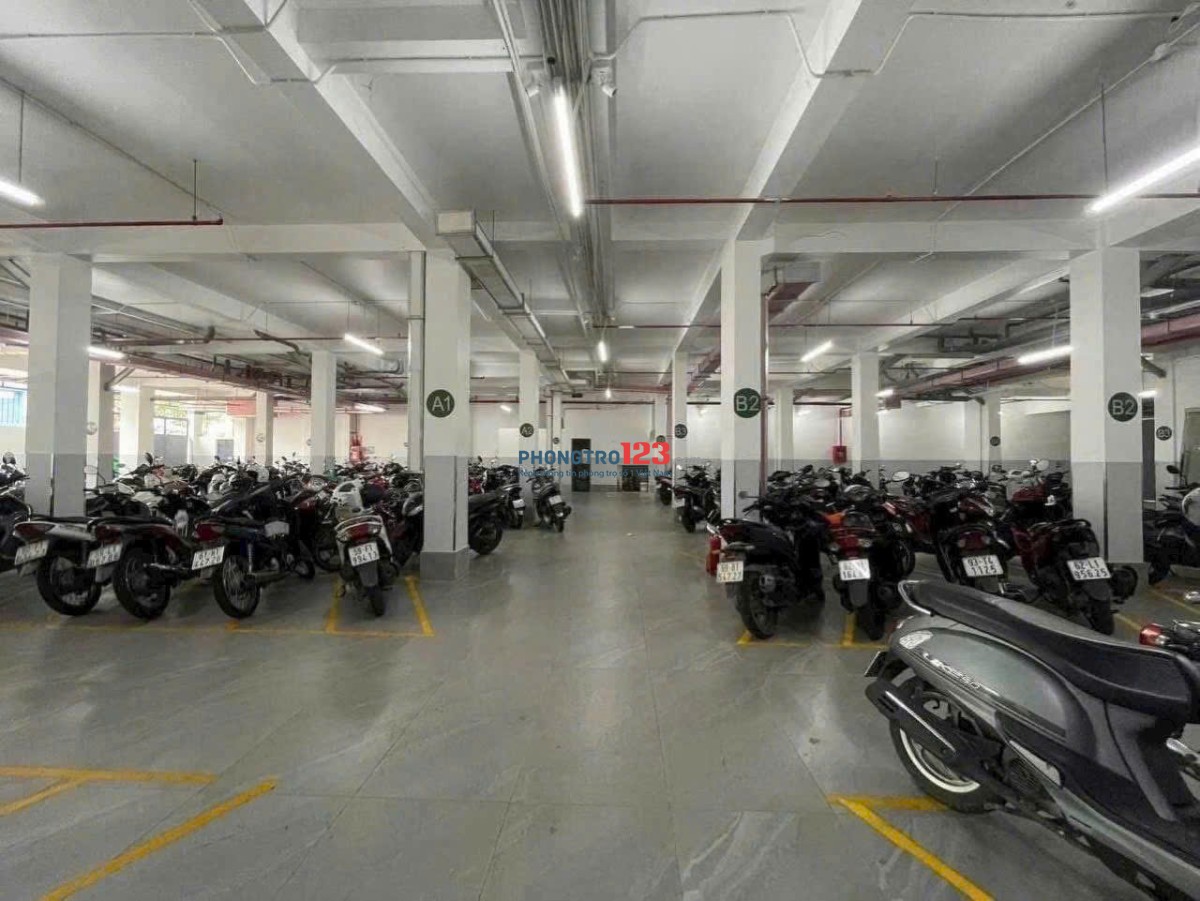 Căn hộ mini gần Ngã tư bảy hiền - cực đẹp giá tốt