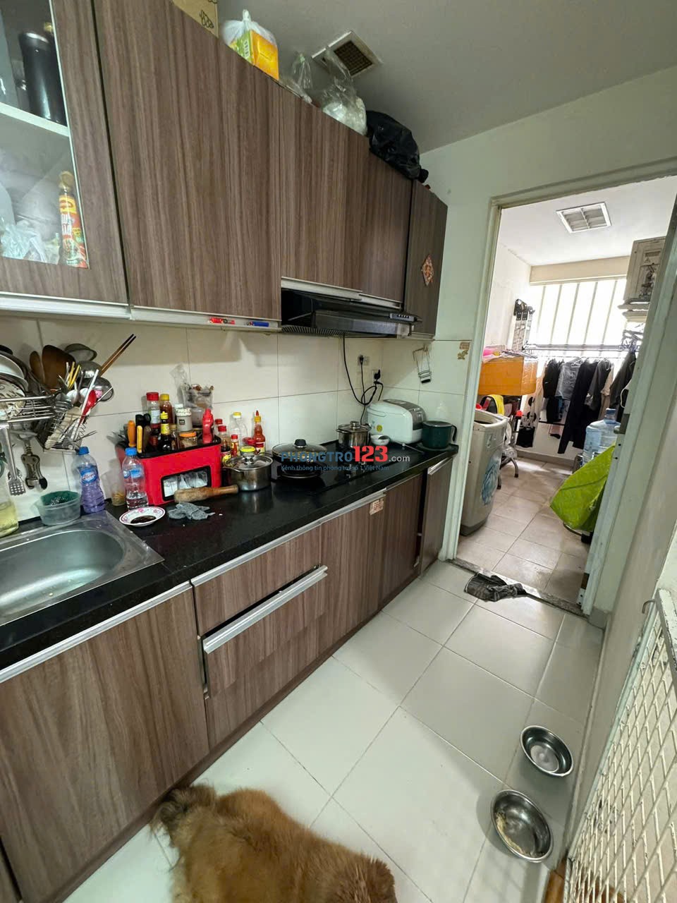 Chung cư D5, P25, Bình Thạnh: 2pn, 76m2, ban công 10tr/th