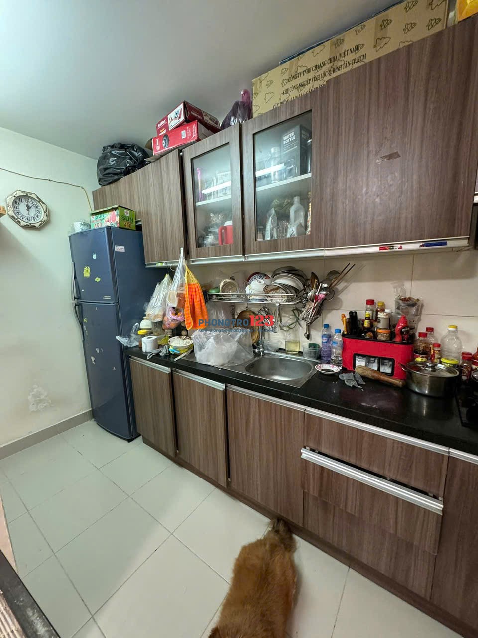 Chung cư D5, P25, Bình Thạnh: 2pn, 76m2, ban công 10tr/th