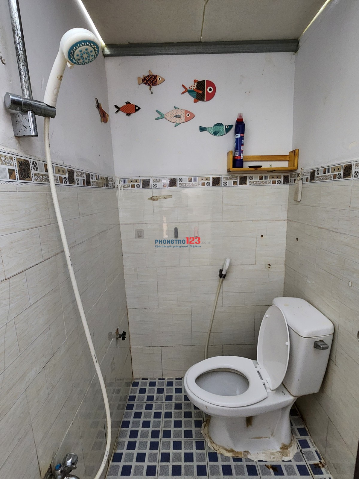 CHO THUÊ PHÒNG NHÀ 860/6 Đường Hưng Phú, Q8 có cửa sổ lớn