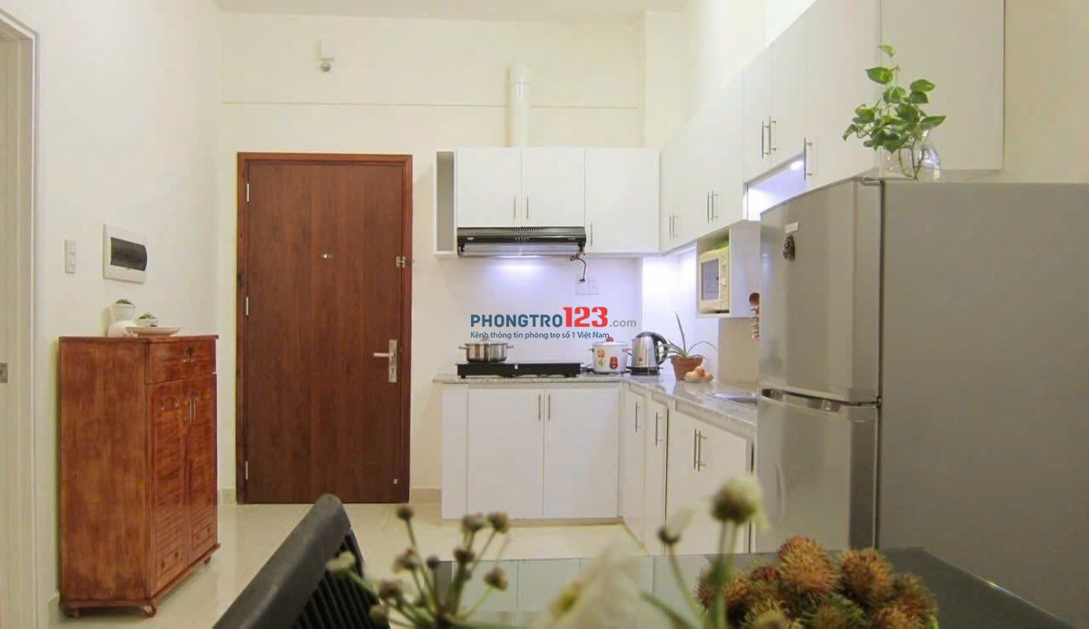 Căn hộ Central, số 91 Phạm Văn Hai, TB - 68m2, căn góc, 2pn, 14tr/th