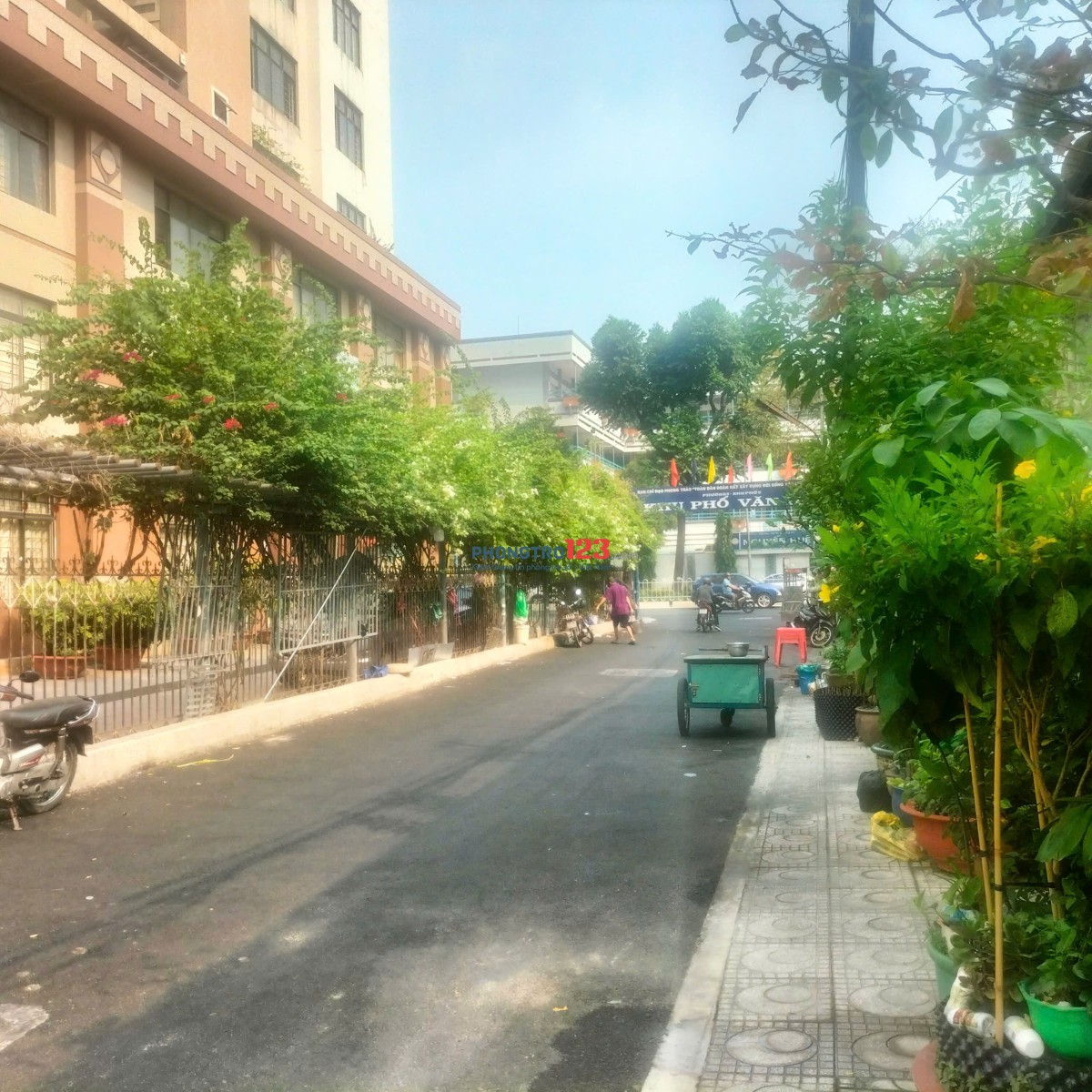 Cho thuê nhà nguyên căn diện tích 4x13, giá 13tr/tháng