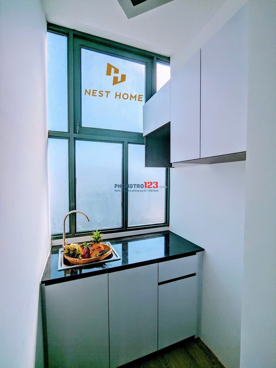 Cho thuê dạng Studio cửa sổ giá rẻ