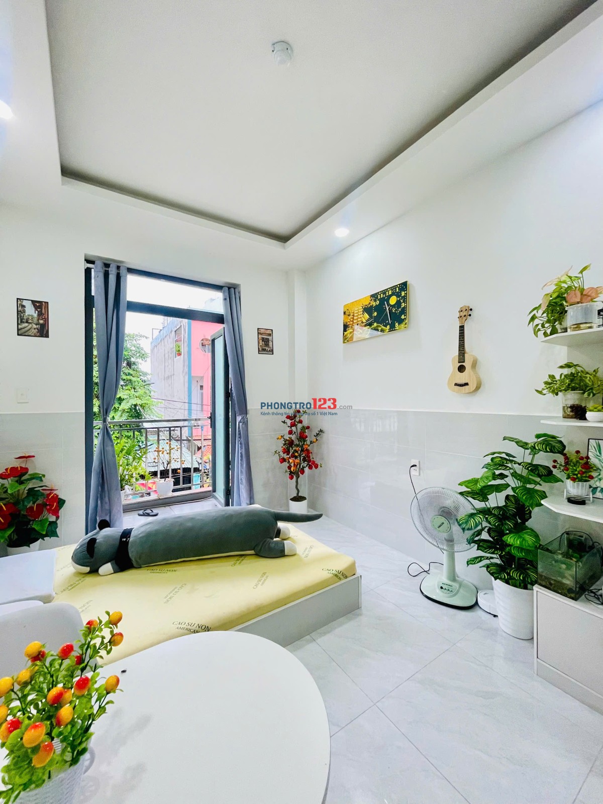 STUDIO BAN CÔNG TÂN SƠN GÒ VẤP