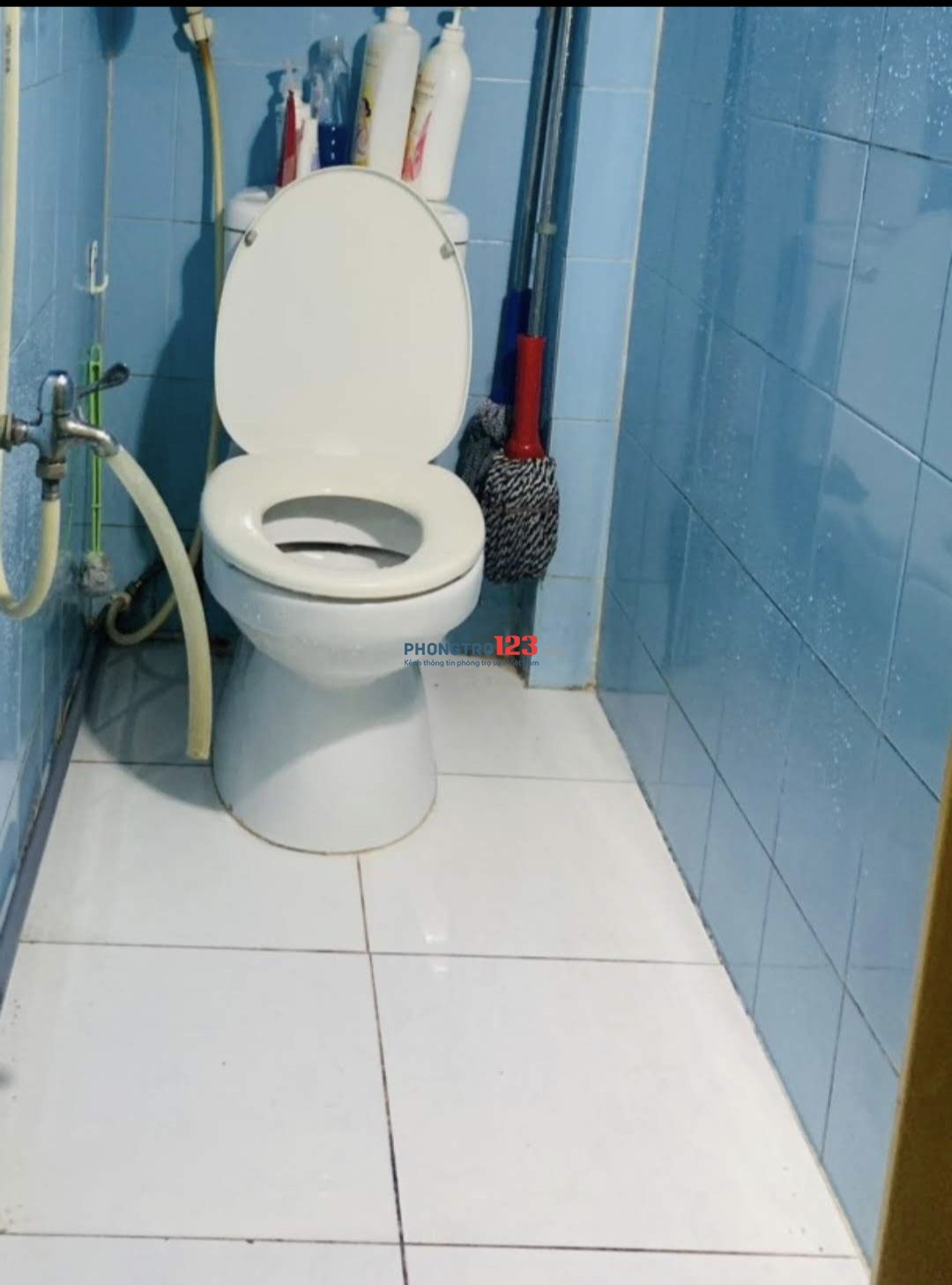 Cho thuê NHÀ NGUYÊN CĂN yên tĩnh, thoáng mát
