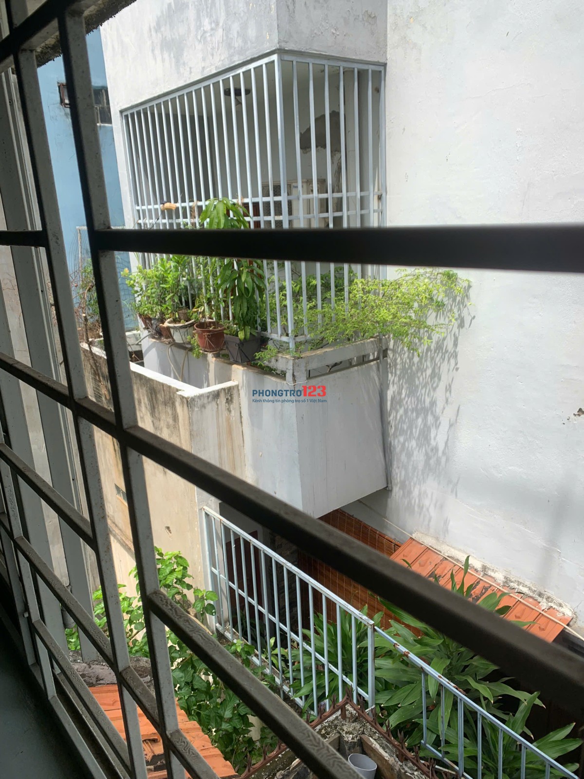 Chính chủ cho thuê phòng ngay Giga Mall