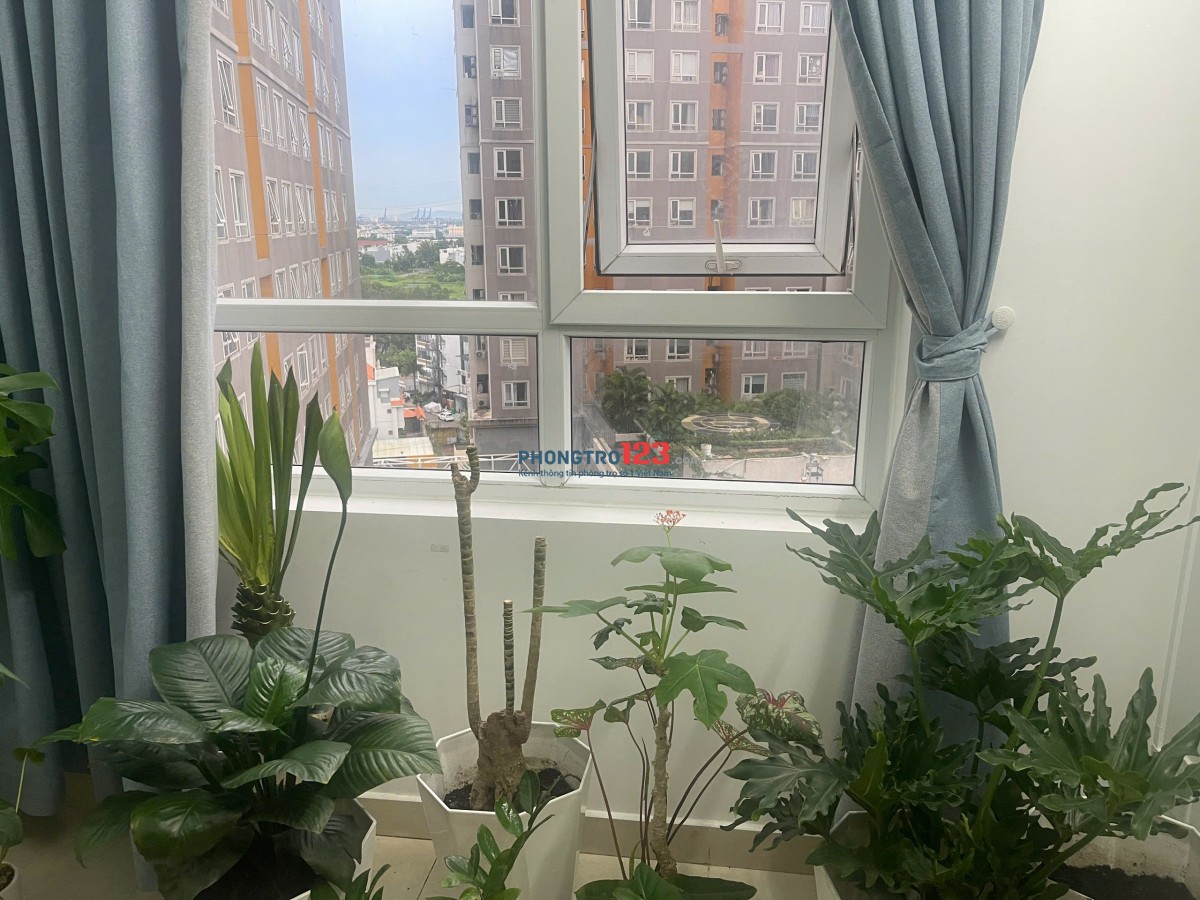 Cần tìm 1 bạn nam ở ghép 1 phòng trong căn hộ nguyên căn ở Q.2 - Tp Thủ Đức