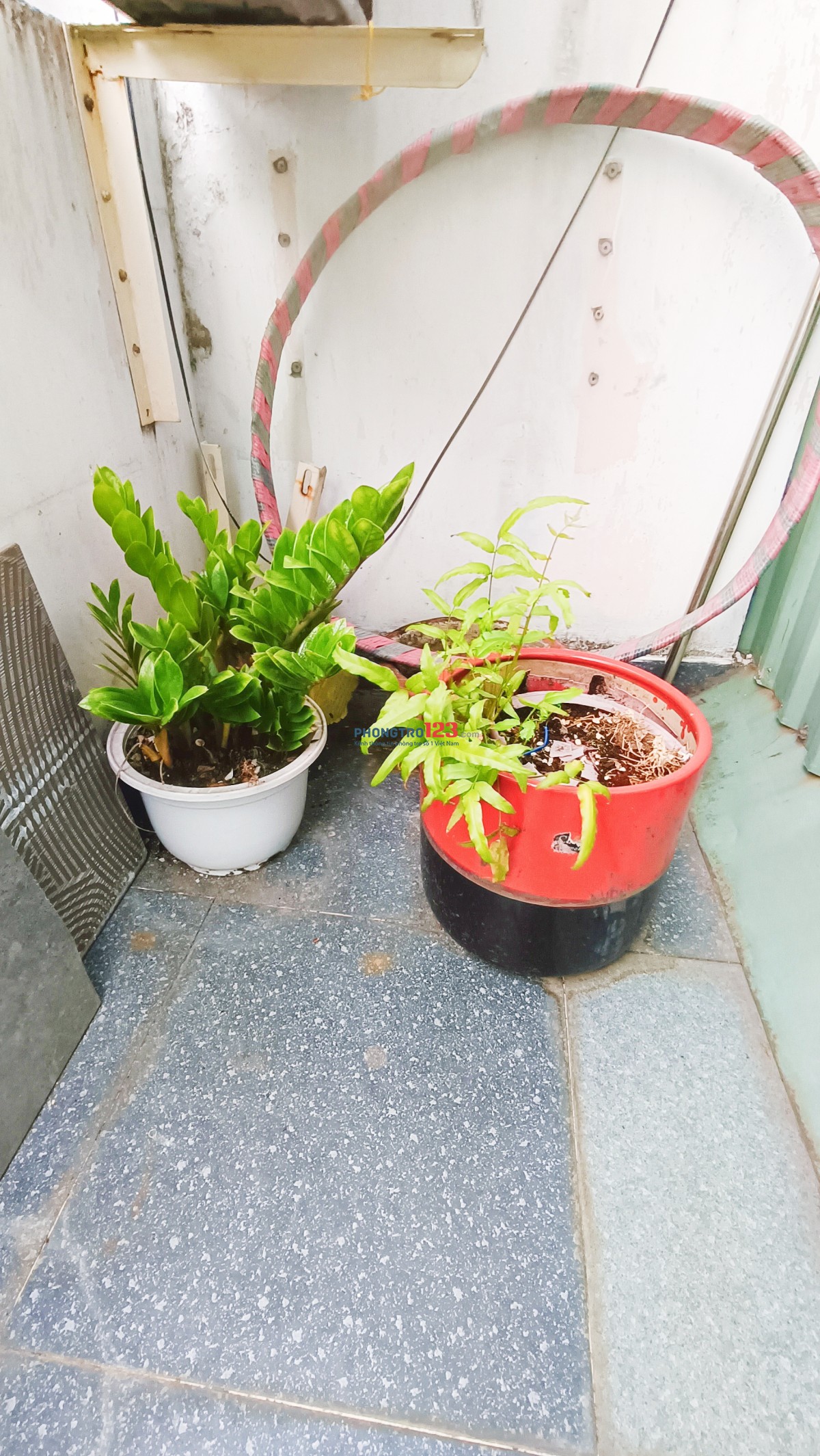 Phòng Q10 siêu đẹp full NT - Tiện Ích Full