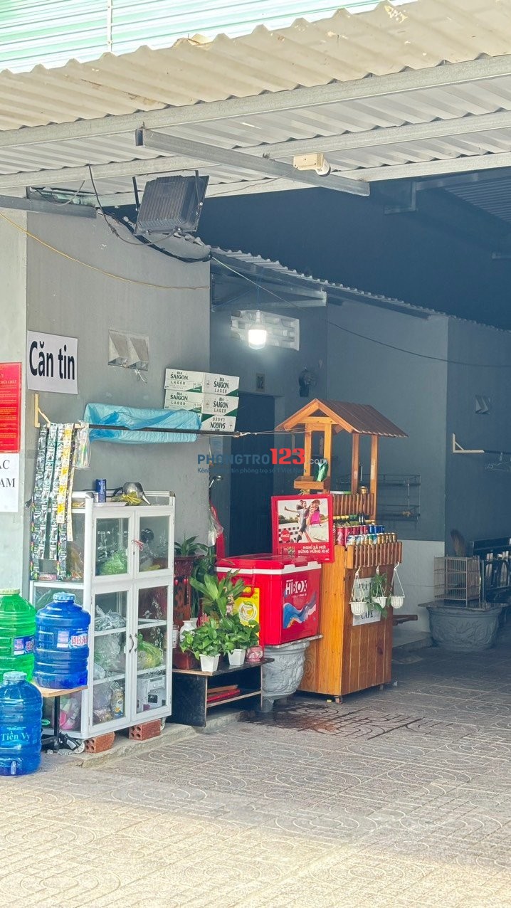 Chỉ 1,5 triệu/tháng, không cần cọc. Dãy trọ mới toanh tại Long Điền