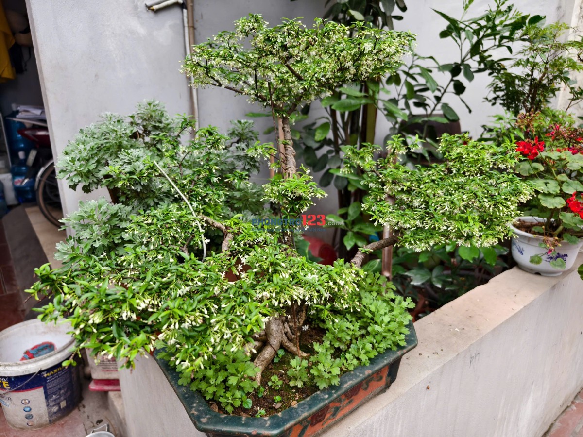 HOT!!!!!!! Cho thuê phòng trọ 25m2 - Gác Xép - Gần Chợ - 1triệu8 - Tân Khai - Vĩnh Hưng