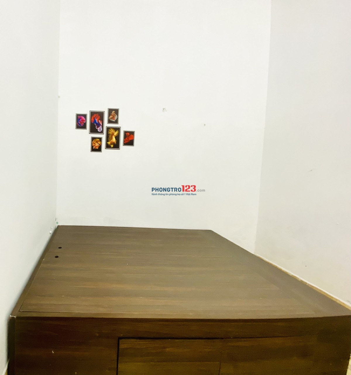 Hệ thống cho thuê nhà trọ cơ bản có bếp 30M2
