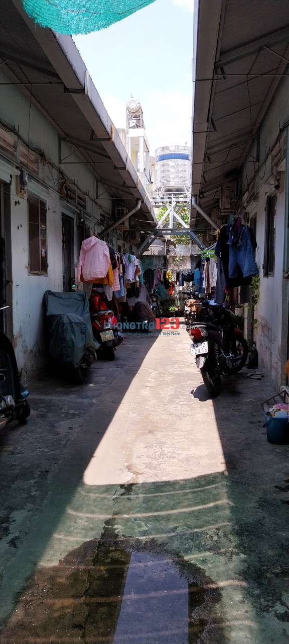 Phòng trọ cho thuê, đường Lê Đức Thọ, P15, Gò Vấp