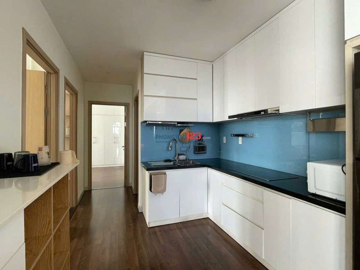 CHung cư Carillon 5, Trịnh Đình Thảo, Tân Phú: 2p ngủ, 2wc, nội thát đẹp 12tr/th