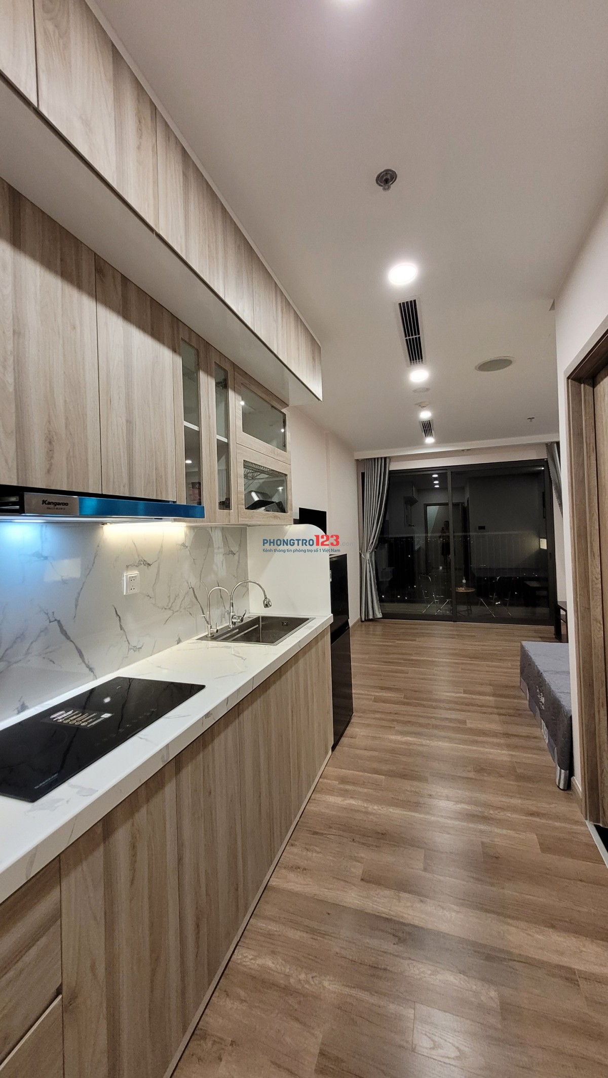 Cho thuê căn hộ chung cư Haven park (Ecopark Hưng Yên), 30m2, 5,5 triệu/tháng