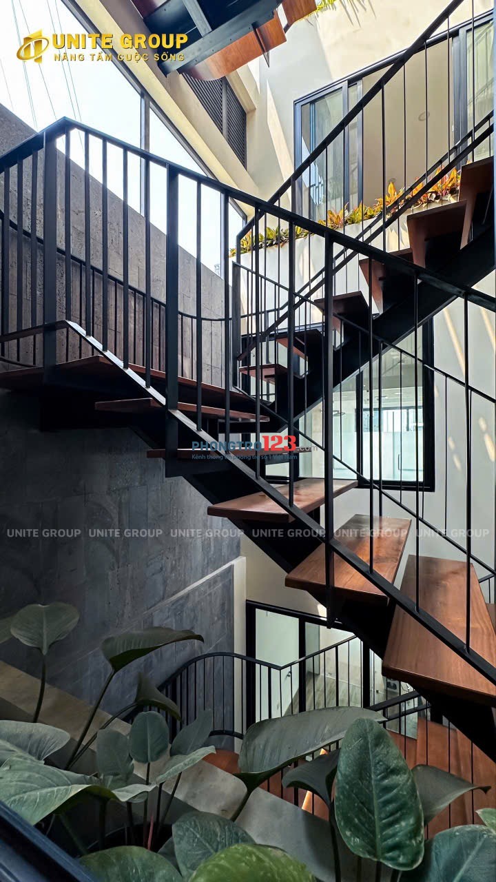 Cho thuê căn hộ 1PN cửa sổ lớn gần Trường Cao Đẳng Lý Tự Trọng