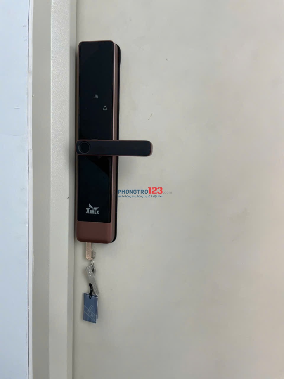 Cho thuê CHDV 118/17 Trần Quang Diệu quận 3