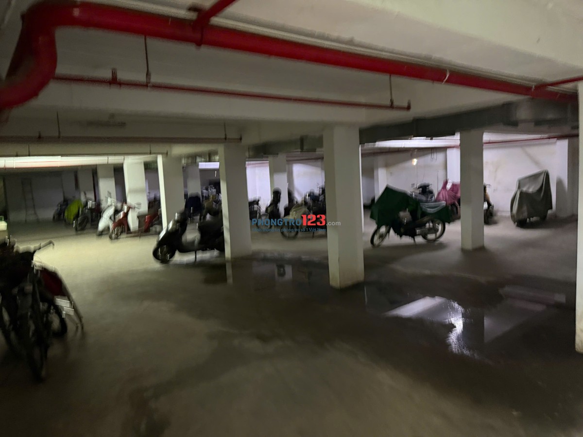 TÌM NAM Ở GHÉP, PHÒNG CHUNG CƯ 4 TẦNG, KHÔNG CHUNG CHỦ