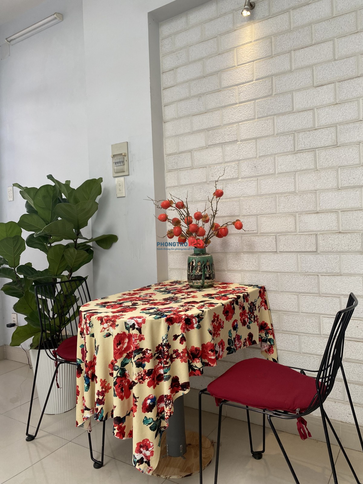 [QUẬN 4 - Ở GHÉP NỮ CHILL NHƯ CĂN HỘ MINI]