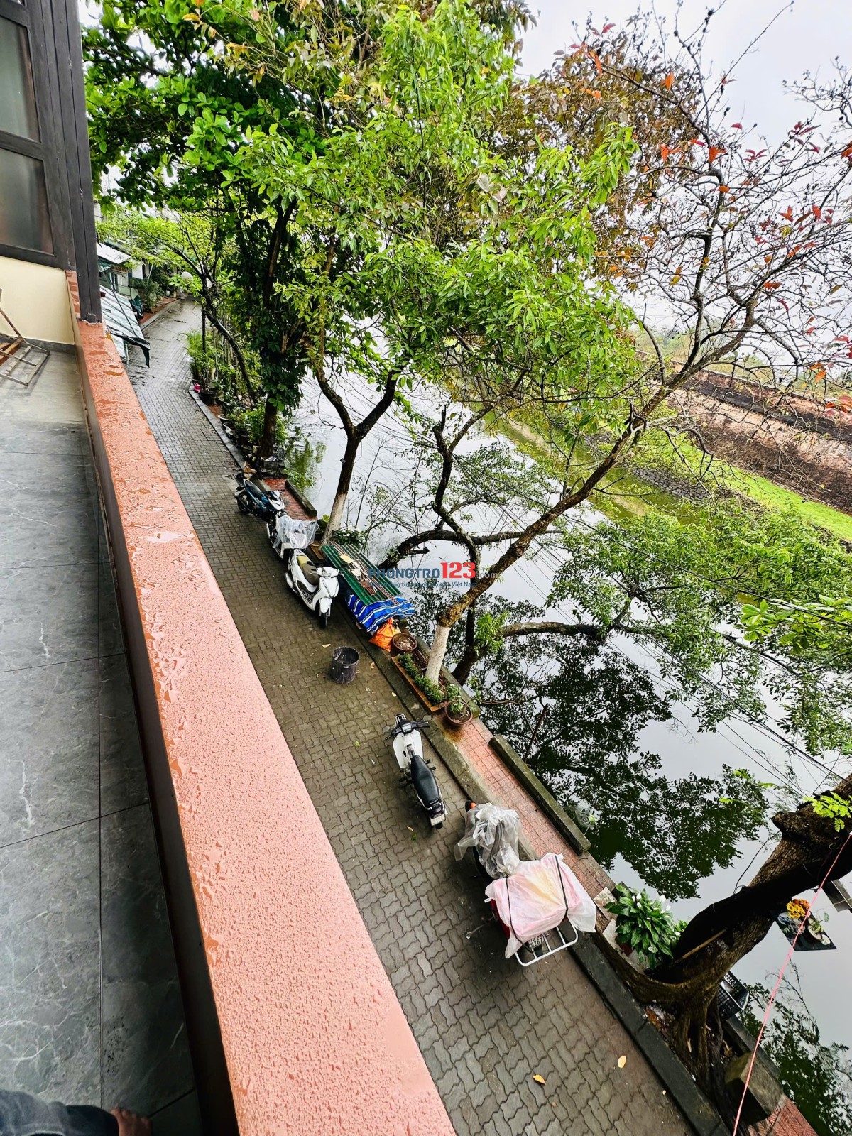 Hòa Bình Homestay cần cho thuê phòng trọ theo tháng, hoặc ngắn hạn