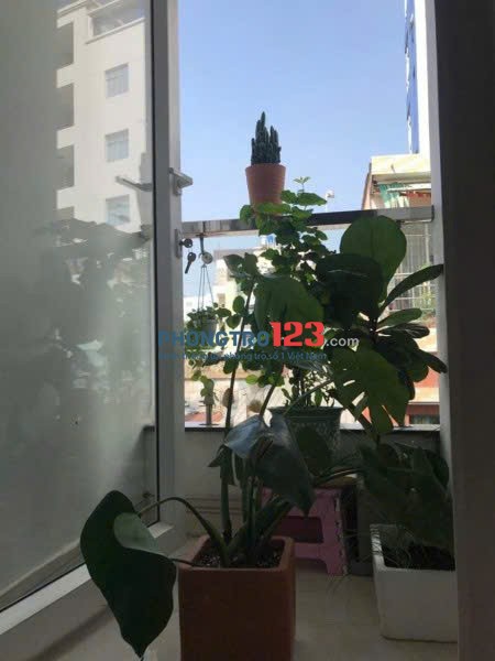 Tìm một bạn nữ văn phòng ở ghép phòng trọ 30m2 ở Phú Nhuận (sát Phan Xích Long) giá 2tr5/người