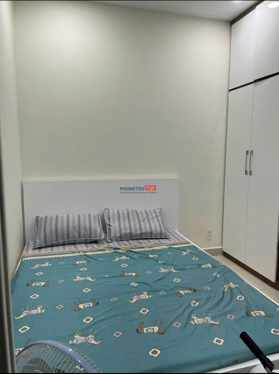 Chung cư 8x plus Trường Chinh,Q12 - 80m2, 3p ngủ, giá 9,5tr/th