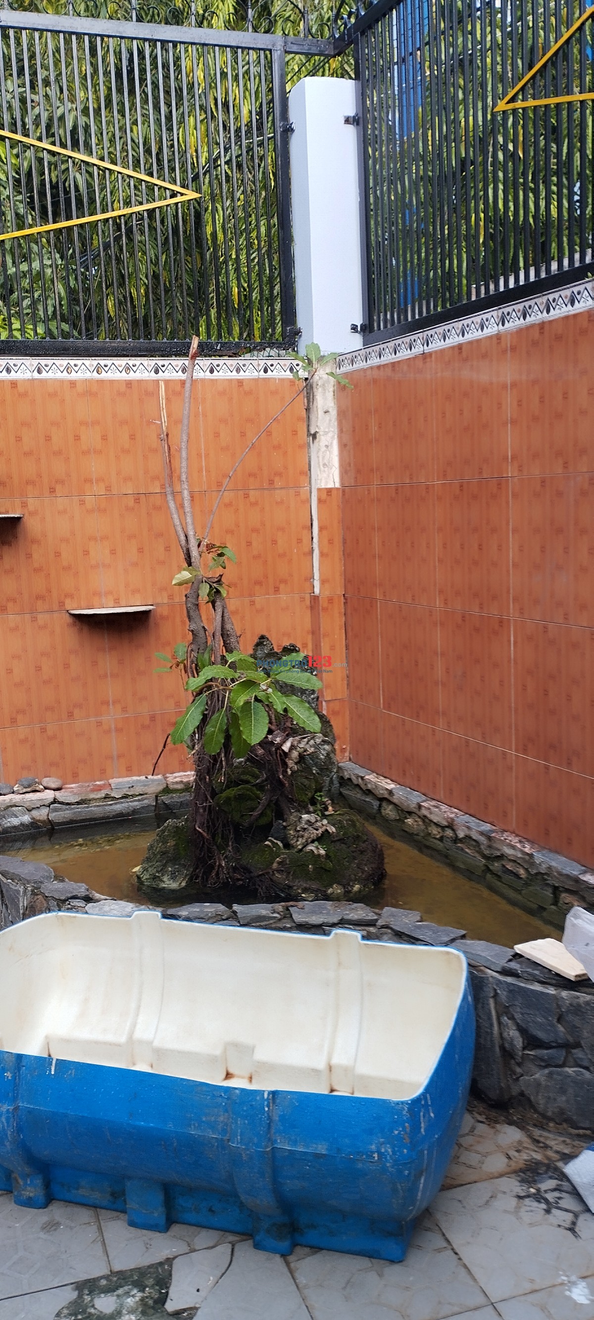 CHO THUÊ NHÀ NGUYÊN CĂN NGAY BƯU ĐIỆN PHÚ THUỶ, CÓ GÁC NHÌN RA BIỂN OCEAN